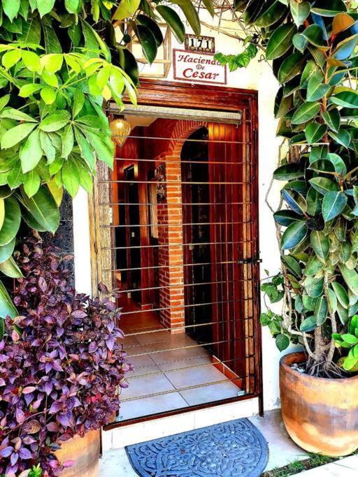 Hacienda En Primavera, Descanso Familiar Total Puerto Vallarta Dış mekan fotoğraf